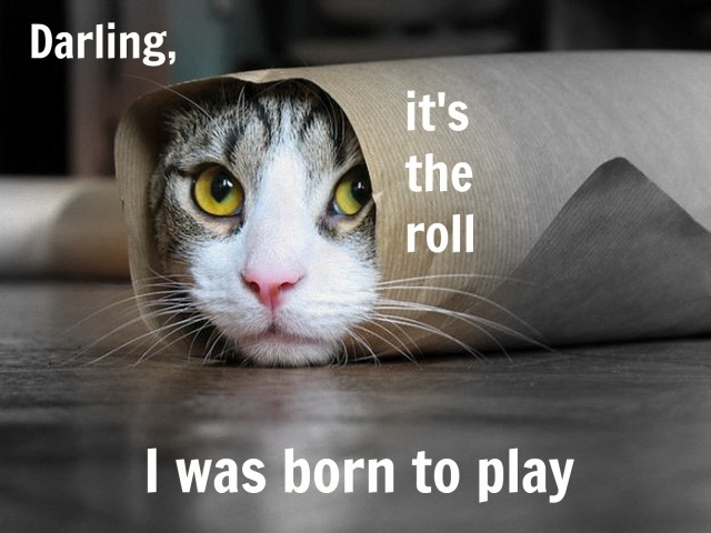 Dramatic Cat has found her role of a lifetime, courtesy of a penchant for puns.